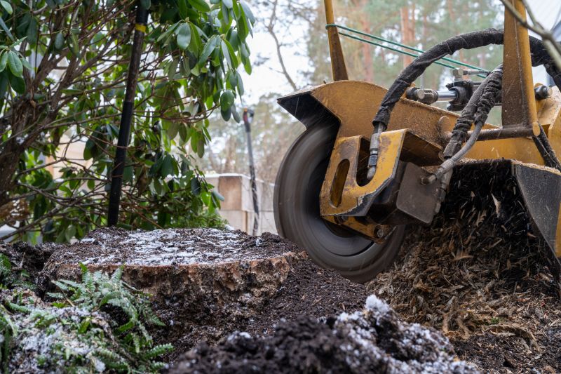 Bamboo Stump Grinding