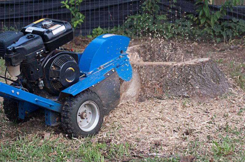Bamboo Stump Grinding