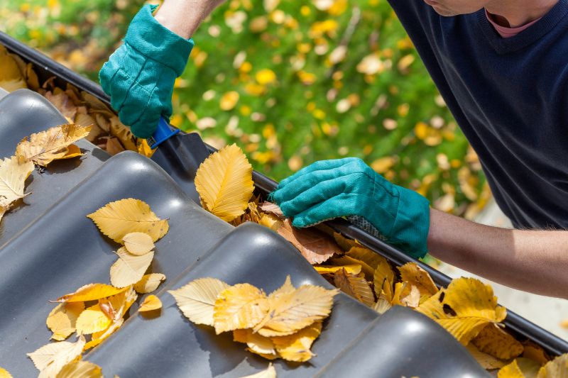 Autumn Leaf Cleanup