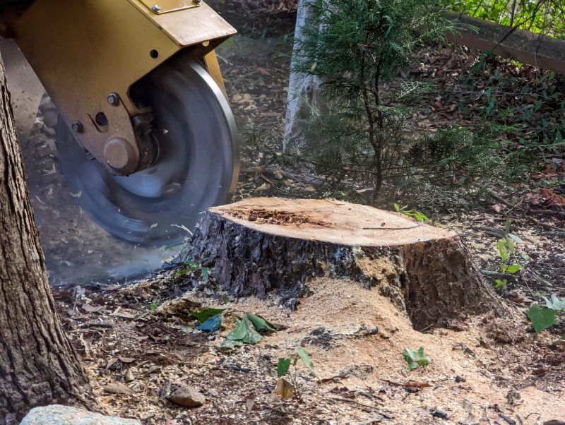 Stump Grinding Service detail