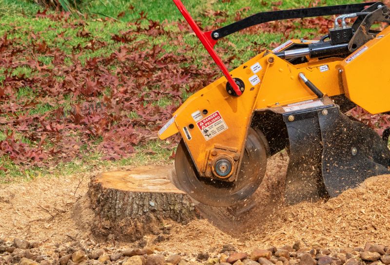 Stump Grinding Service detail