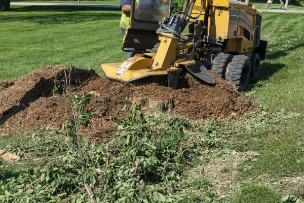 Bush Stump Grinding Service